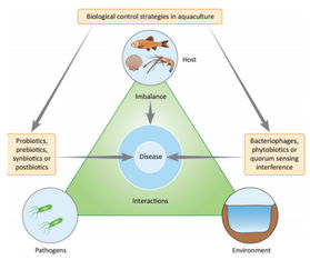 論文解讀 水產養殖疾病生物防控技術 優勢 不足及挑戰