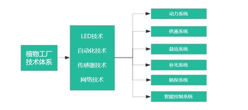 植物工廠發展勢頭迅猛 能耗降低是難點,應用拓展很關鍵