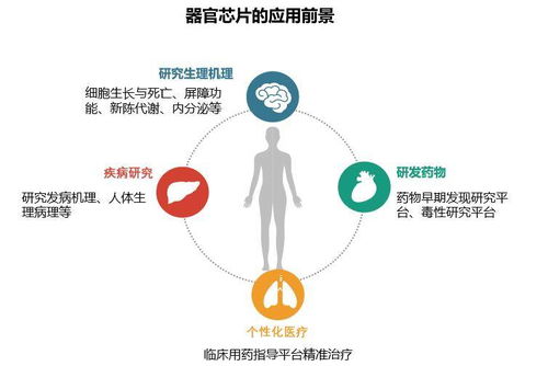 前沿的生物芯片技術是生物醫藥的利器